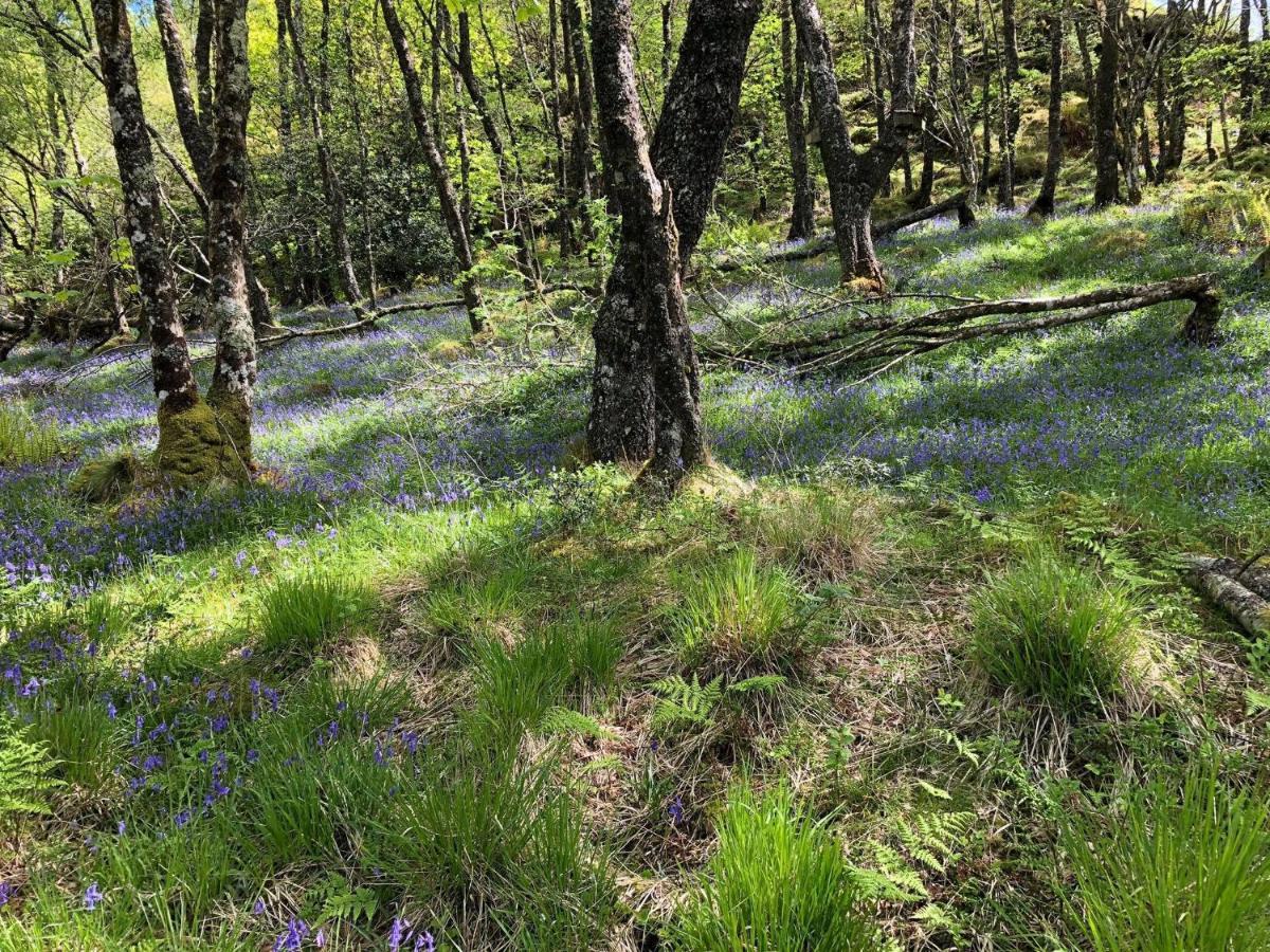 Barfad Self Catering Holiday Cottages Tarbert  Kültér fotó